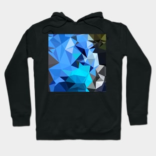 Air Force Blue Abstract Low Polygon Background Hoodie